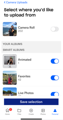 iOS camera upload options