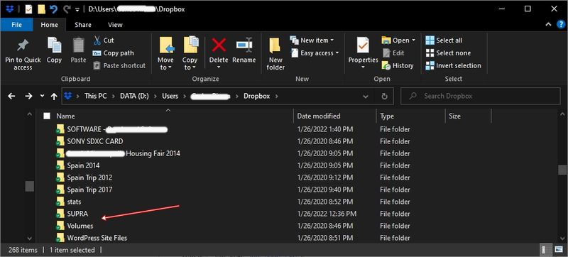 Dropbox Screenshot-no Vault Folder.jpg