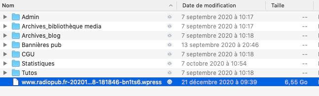 Capture d’écran, le 2021-01-17 à 17.41.30.jpg
