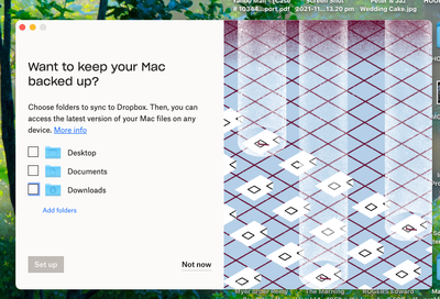 Dropbox Backups Set up Screen Shot 2022-01-28 at 9.12.48 am.png