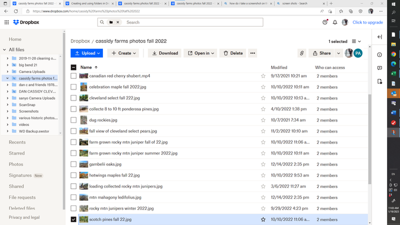 screen shot of cassidy farm photos fall 2022.png