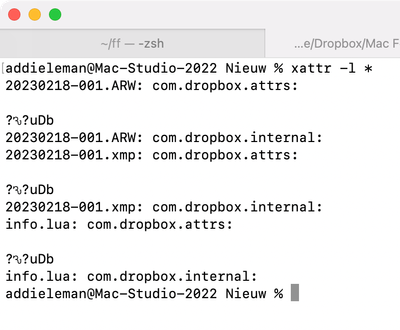 Screenshot 2023-02-20 at 18.38.10.png