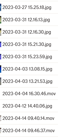 Camera Uploads from 2023