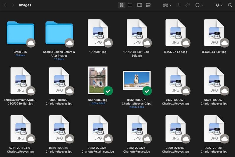 Screenshot 2023-05-13 at 10.32.16 am.jpg