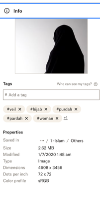 Screenshot 2023-06-07 at 11.42.12 am.png