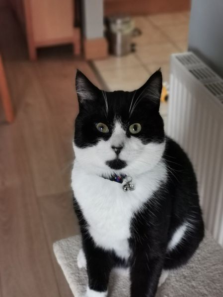 Romario, fans of Brazil's World Cup winning soccer team from 1994 will know the name