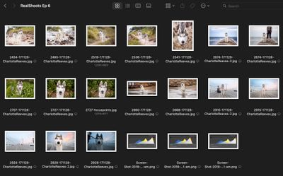 Screenshot 2023-10-13 at 10.38.38 am.jpg