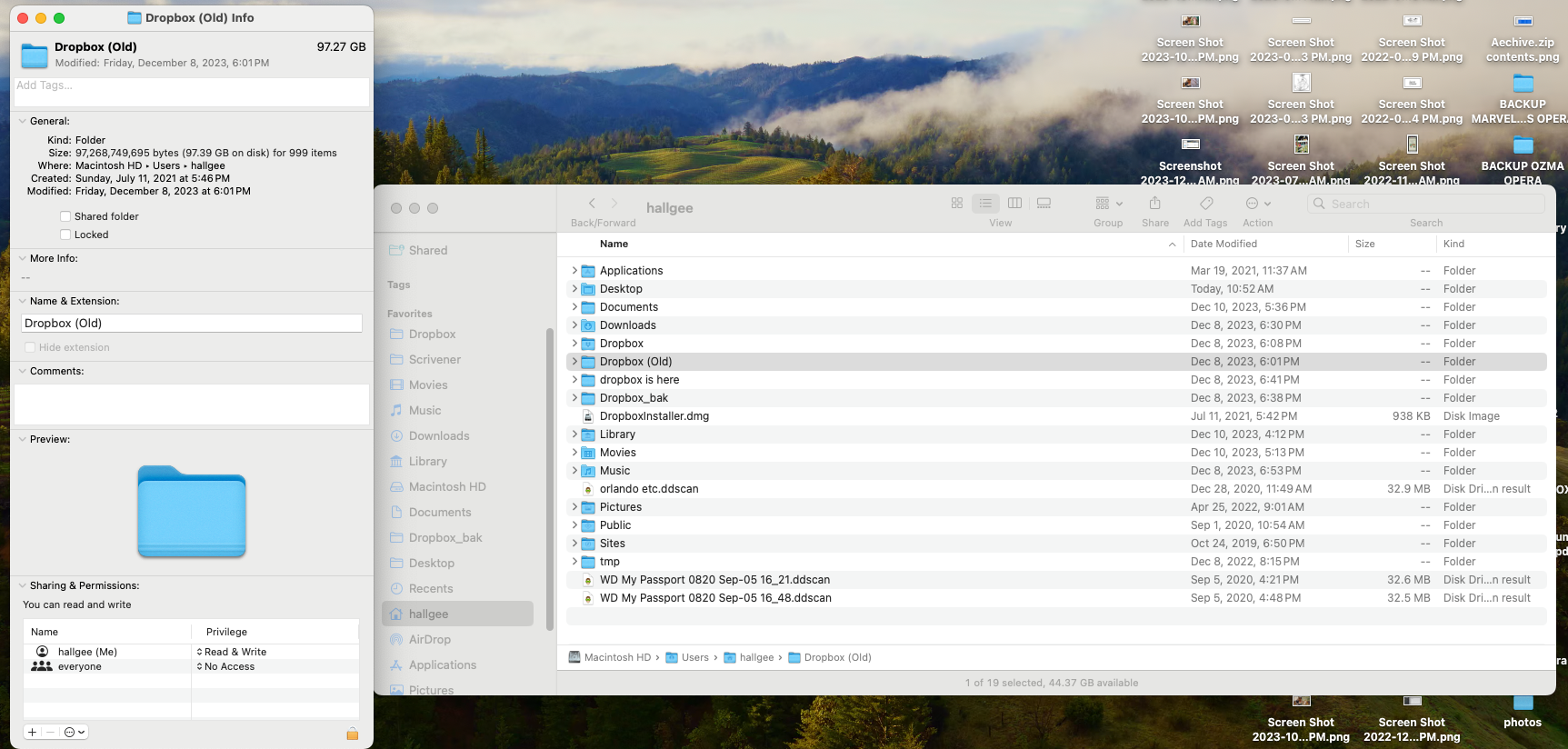 Screenshot 2023-12-12 at 10.57.17 AM.png