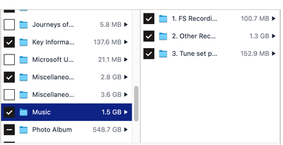 Screenshot 2024-03-12 at 11.28.11.png