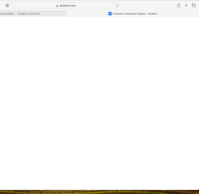 Capture d’écran 2024-04-19 à 18.20.29.png