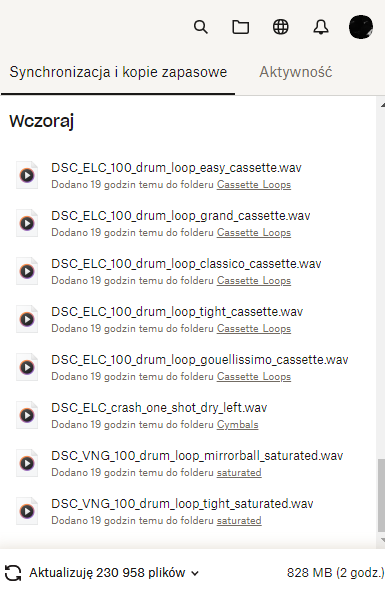 Zrzut ekranu 2024-05-30 183931.png